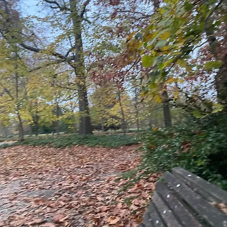 La Bocage *